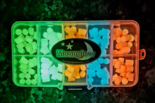 Load image into Gallery viewer, MOONGLOW -  luminous attractors box mixed