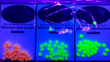 Load image into Gallery viewer, MOONGLOW - mini gums - continental/LRF/mini species