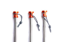 Load image into Gallery viewer, DD Heavy Duty Pegs x 12