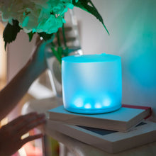 Load image into Gallery viewer, Luci Color Essence Inflatable Colour Changing  Solar Light