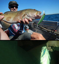 Load image into Gallery viewer, HENGJIA 26 PCS Minnow Fishing Lure Set 4 Models Fishing Tackle Plastic Hard Bait, 26 PCS
