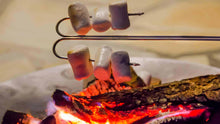 Load image into Gallery viewer, Petromax Skewer LS1 or LS2