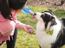 Load image into Gallery viewer, Vapur Ez Lick Portable Dog Water Bottle 700ml - Element - Water