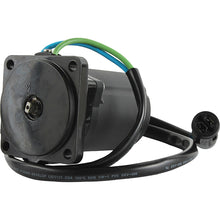 Load image into Gallery viewer, Honda BF30 BF40 BF50 BF60 Tilt Trim Motor 36120-ZW2-F12 36120-ZW4-H12 12V 4-Bolt