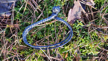 Load image into Gallery viewer, Bushmen Soft Shackle - Black
