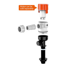 Load image into Gallery viewer, SEAFLO Livewell 13C Series 12V 800 GPH Livewell/Bait | 4Boats